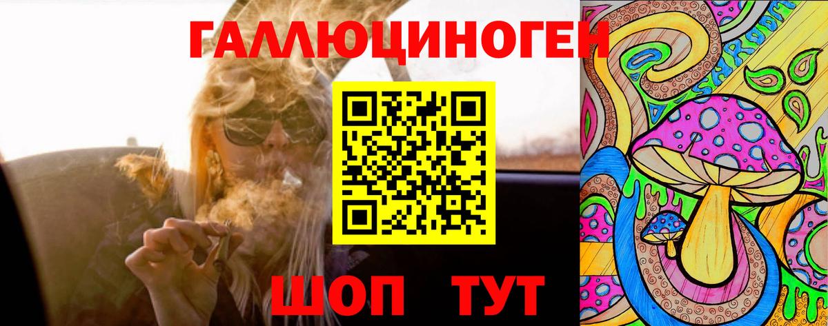 Галлюциногенные грибы Psilocybe Выкса